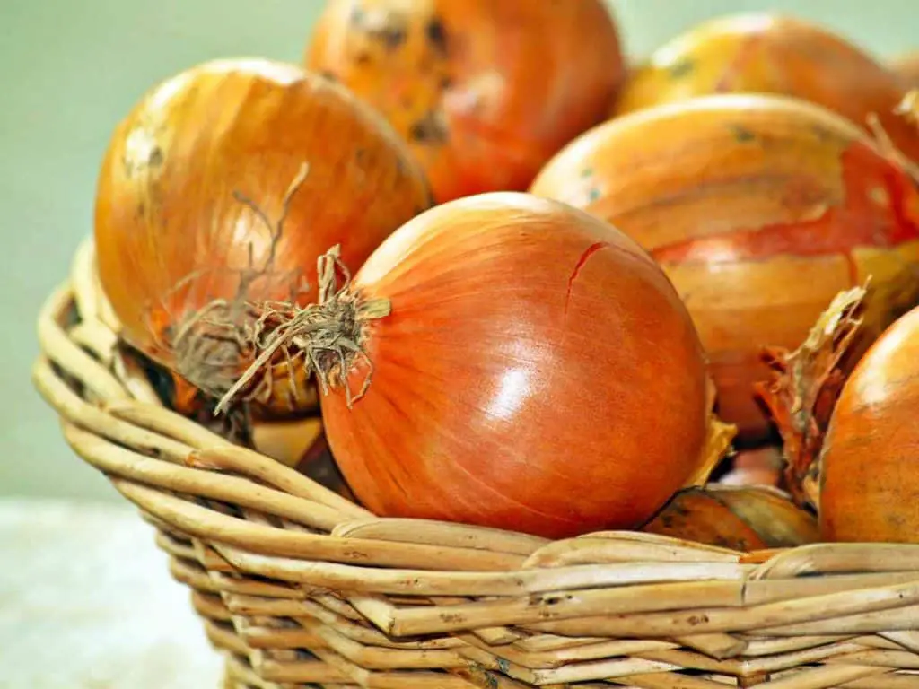 how to get rid of fruit flies on onions