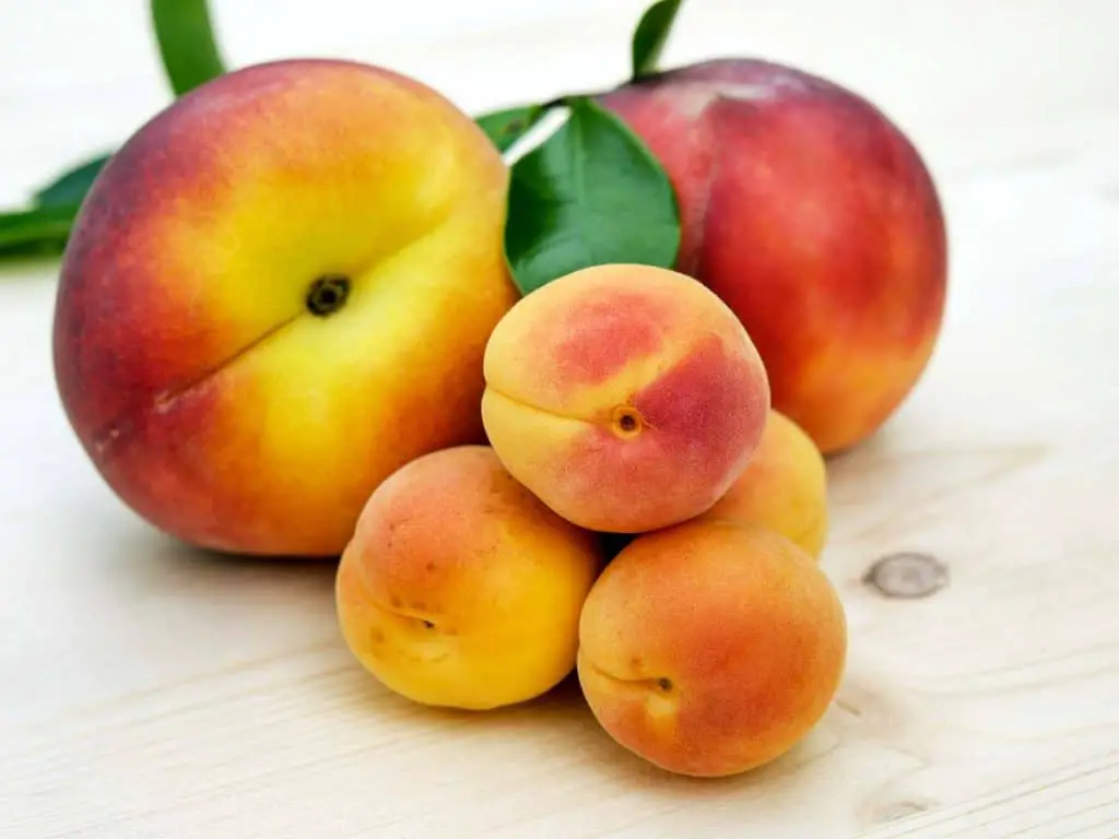 how to get rid of fruit flies on peaches