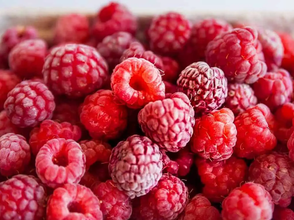 how to get rid of fruit flies on raspberries