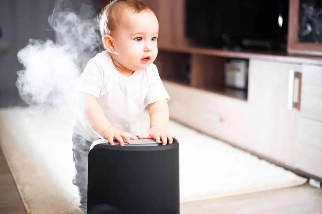 the best type of humidifier for dryness, allergies, babies, toddlers, pets, and plants