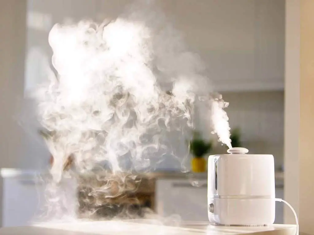 what type of humidifier is best