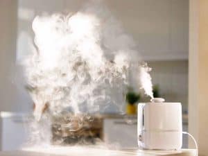 The Right Humidifier for You? (5 Types Compared)