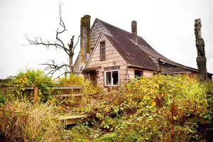 11 Reasons Houses Become Abandoned (+FAQs Answered)